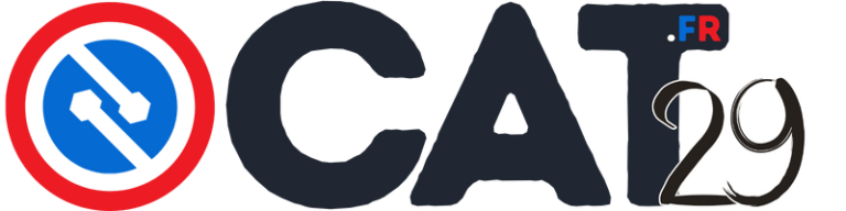 Lire la suite à propos de l’article Contacter Cat29.fr : Guide Complet pour Joindre le Média d&rsquo;Actualité Indépendant
